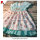 Blue checked flower printed hand embroidery dress